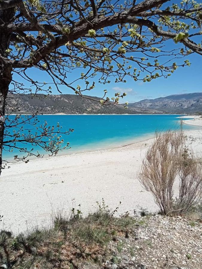 Petit Nid Cosy Typiquement Provencal Daire Villecroze Dış mekan fotoğraf